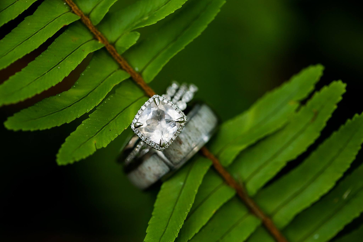 Beautiful rings on a fern - Elope to Savannah