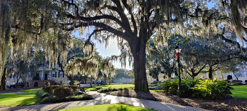 Square in Savannah GA decorated for winter holidays